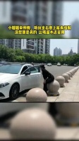 怪不得每次路过都腥不垃圾的
