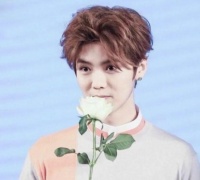 鹿晗，檀健次罗一舟，辣目，胡军，沈腾
