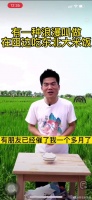 把直播间搬到黑龙江的稻田旁，董宇辉在黑龙江地头端一碗大米饭……