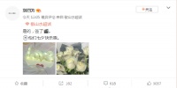 作者透露言情小说《敬山水》将拍电影版