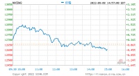 尾盘：美股涨跌不一 英伟达拖累纳指走低