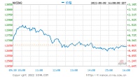收盘：美股涨跌不一 英伟达预警拖累纳指走低
