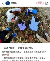 霍启刚郭晶晶带娃赶海  一家人徒手捡海鲜