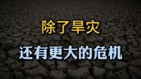 川渝高温领跑全国，除了旱灾，还有更大的危机等着我们！