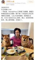 TVB阿姐汪明荃：两度患癌，嫁给最搞笑唐僧，75岁生日与爱犬作伴