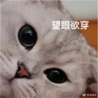 民国偶像从天而降，小编剧意外与偶像同居 梦想照进现实，跨时空爱恋