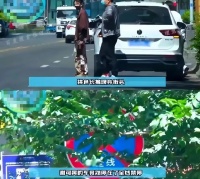 太突然！知名女艺人紧急道歉