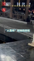 宋佳辛柏青搭档上央视秋晚，默契依旧，笑声不止……