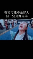 青云志，苍松反叛青云门