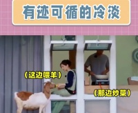 王子文回应与吴永恩感情变淡，称其私下很甜，只是不想刻意秀恩爱