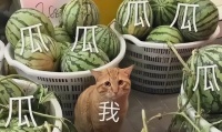 曝童星出身的男演员被抓，团队发动态制造假象，引起网友热议