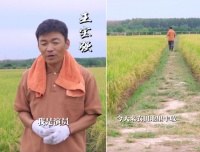 王宝强否认“装农民”！手持镰刀狂割水稻，动作麻利踩一脚稀泥巴
