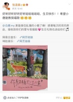 网友说于正自称白鹿是一线女星，其回应：营销号公认的