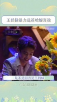 不是兰花你就能这么粗暴地对待吗！你应该吗鹤帝！