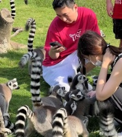 被封杀依旧潇洒，王思聪带四位美女游玩，几个女人相处超和谐！