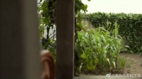 儿子要带对象回家，妈妈却连屋子都不收拾，被妹妹嘲讽