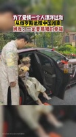 为了爱情一个人漂洋过海，从俄罗斯远嫁中国淮南