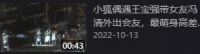 王宝强携女友外出会友，相处融洽感情稳定，冯清身材高挑长腿吸睛