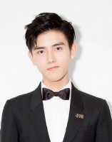 陈飞宇，潘玮柏，张柏芝，欧阳娜娜，大S