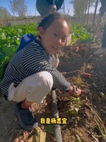 央视杨帆老婆带娃下菜地！女儿拿铁铲卖力挖红薯，表情搞怪太兴奋
