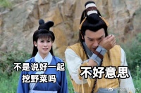 陈浩民回应全网热议王宝钏挖野菜:体脂应该很低吧