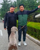 戏骨丁勇岱街头遛狗被偶遇！和路人搂肩合影太热情，打扮低调朴素