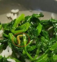 汪小菲餐厅被爆菜里吃出虫子！店家被罚款9100元，网友直呼倒胃口