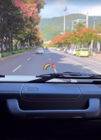 陈若仪晒与老公居家日常，带林志颖晒太阳称对他身体好，体贴十足