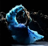 专访杨丽萍丨孔雀没有折翼！