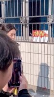 朱珠，本人真是太有气质了