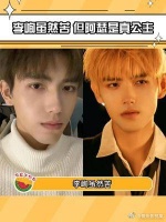 李峋虽然苦，但是阿瑟却是真公主啊！