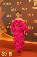 TVB55周年台庆晚会拉开序幕，郭富城压轴登场