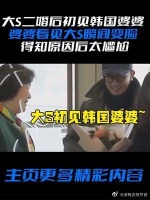 大S二婚初见韩国婆婆，怎料婆婆看见她瞬间变脸……