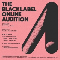 韩著名制作人Teddy将推新女团 举办全球选秀发掘