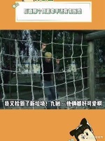 啊啊又捡到新垃圾啦～快看速看！