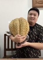 29岁知名网红国外被刺身亡！生前画面曝光，满脸鲜血现场混乱