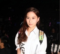 同样是何鸿燊的太太，何超莲称黎婉华为大太太，却称梁安琪为阿姨