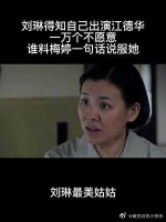 刘琳得知自己出演江德华，一万个不愿意，谁料梅婷一句话说服她