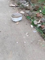 过年的气氛回来了