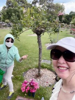 70岁港姐新年拜祭李小龙哥哥，离婚27年仍念旧，每年年初不忘拜祭