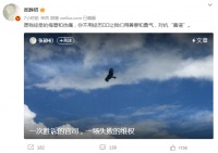 “潜规则”视频遭疯传的张静初崩溃发文：千万别走我的老路！