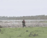 爆笑GIF：彪悍的人生不需要解释！