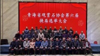 青海省观赏石协会第六届换届选举大会顺利召开