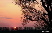 人老了，手里握紧这四张底牌，晚年会很幸福