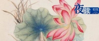 夜读 | 有一种能力：通过别人，看清自己