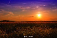 “后备厢里的爱”，该如何回报？