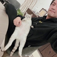 恭喜！胡歌官宣结婚当爸 透露老婆非公众人物