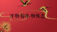 万物共生 物候迭变 聆听自然的声音｜万物有时·物候志
