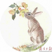 悄悄积贮的美好时刻