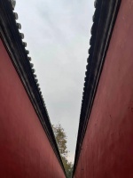 满江红困境